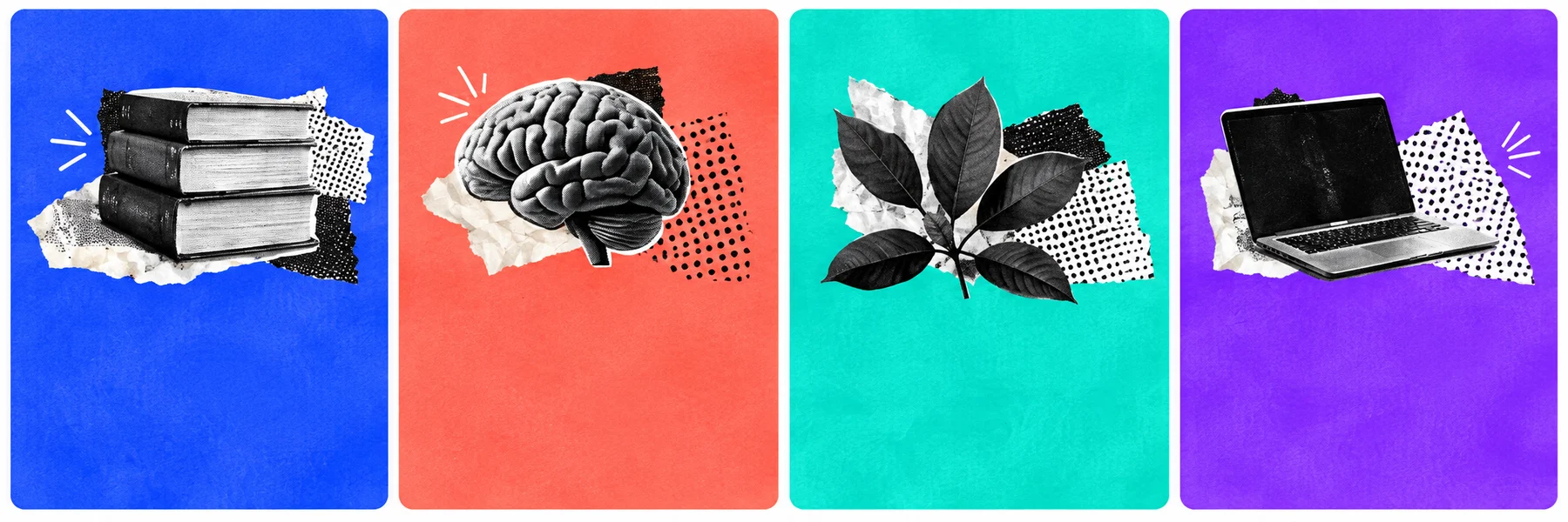 Editorial collage representing books, ideas, nature and digital production